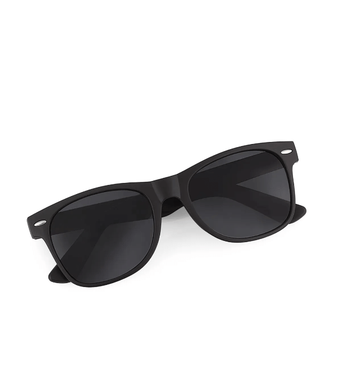 Polo sunglasses for men