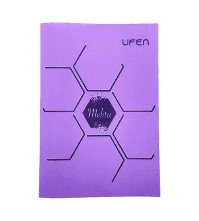 School notebook, lined, A4, 100 sheets